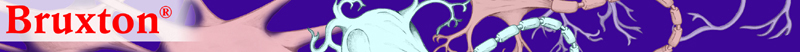 Bruxton Logo